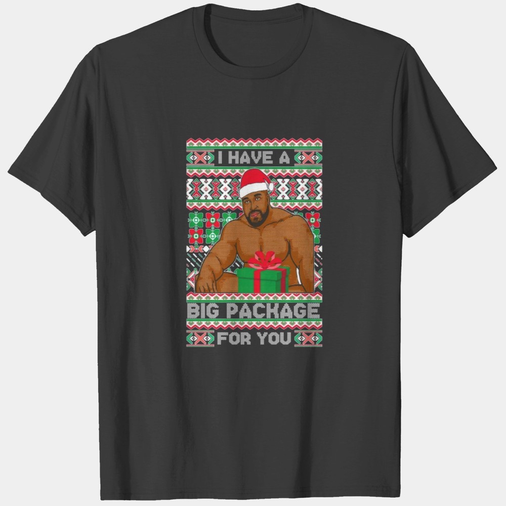 I Have A Big Package Christmas Ugly Christmas T Shirts